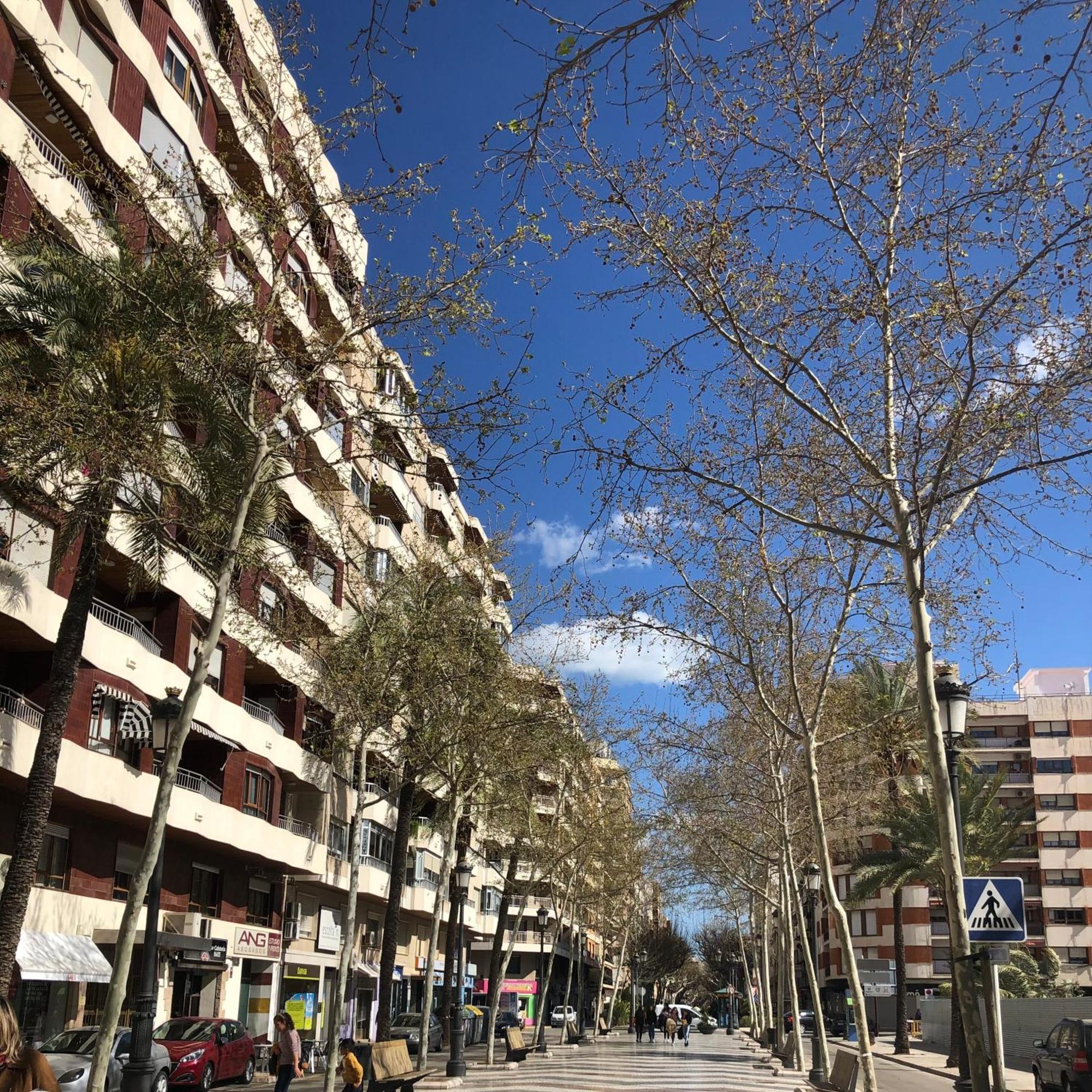 Habitaciones En Gandia A 5 Min Del Centro Historico Extérieur photo